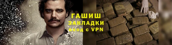 гашик Алексин
