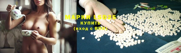 соль ск Алзамай
