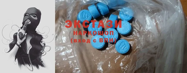 гашик Алексин
