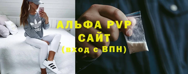гашик Алексин