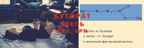 гашик Алексин