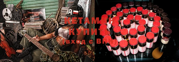 гашик Алексин