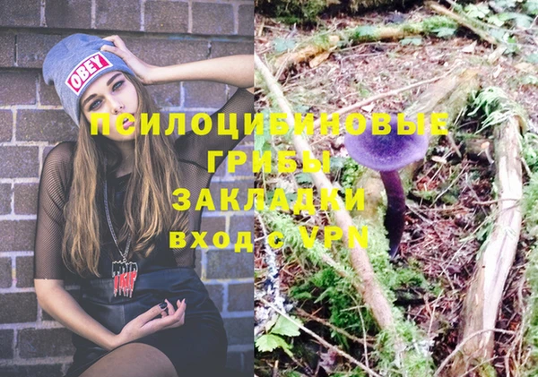 ГАЛЛЮЦИНОГЕННЫЕ ГРИБЫ Алексеевка