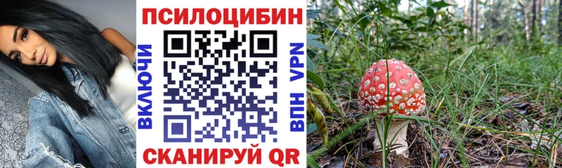 Псилоцибиновые грибы Psilocybine cubensis Нефтекумск